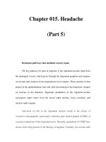 Chapter 015. Headache (Part 5) ppt