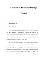 Chapter 029. Disorders of the Eye (Part 6) docx