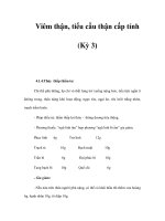 Viêm thận, tiểu cầu thận cấp tính (Kỳ 3) doc