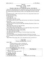 tuan 34 - lop 4 - CKTKN 10 buoi