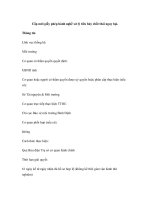 Cấp mới giấy phép hành nghề xử lý tiêu hủy chất thải nguy hại docx