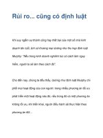 Rủi ro... cũng có định luật pptx