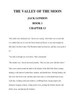 THE VALLEY OF THE MOON JACK LONDON BOOK 1 CHAPTER 13 pdf