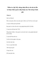 Thẩm tra cấp Giấy chứng nhận đầu tư cho dự án đầu tư thuộc thẩm quyền chấp thuận của Thủ tướng Chính phủ pps