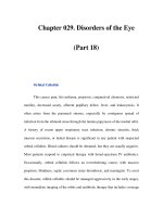 Chapter 029. Disorders of the Eye (Part 18) ppt