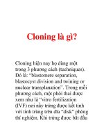 Cloning là gì? pdf