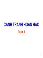 Topic 5: Cạnh tranh hoàn hảo pot