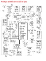 mô hình quản lý tuyển sinh