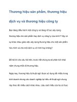 Thương hiệu sản phẩm, thương hiệu dịch vụ và thương hiệu công ty doc