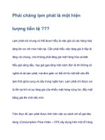 Phải chăng lạm phát là một hiện tượng tiền tệ pps