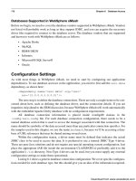 Bắt đầu với IBM Websphere smash - p 20 pps