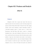 Chapter 023. Weakness and Paralysis (Part 4) pps