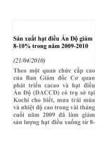 Sản xuất hạt điều Ấn Độ ppsx