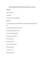 Cấp Giấy phép khai thác chính gỗ rừng tự nhiên cho các chủ rừng ppsx