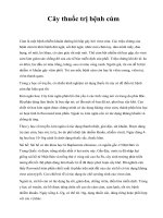 Cây thuốc trị bệnh cúm potx