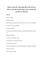 Thẩm tra cấp Giấy chứng nhận đầu tư đối với dự án đầu tư có quy mô từ 300 tỷ đồng trở lên và thuộc lĩnh vực đầu tư có điều kiện pdf