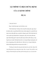 LỘ TRÌNH VÀ HỘI CHỨNG BỆNH CỦA 12 KINH CHÍNH (Kỳ 4) pdf