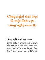 Công nghệ sinh học là một lĩnh vực công nghệ cao (tt) ppt
