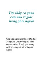 Tìm thấy cơ quan cảm thụ vị giác trong phổi người docx