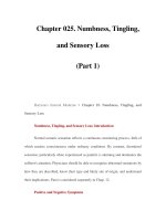 Chapter 025. Numbness, Tingling, and Sensory Loss (Part 1) ppsx