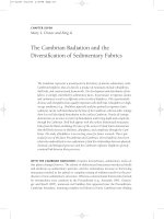 The Ecology of the Cambrian Radiation - Andrey Zhuravlev - Chapter 7 pdf