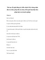 Thủ tục đề nghị (đăng ký) điều chỉnh Giấy chứng nhận đầu tư (Giấy phép đầu tư) (thay đổi người đại diện theo pháp luật của doanh nghiệp) doc