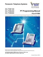PT Programming Manual Pure IP-PBX pdf