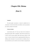 Chapter 036. Edema (Part 3) pdf