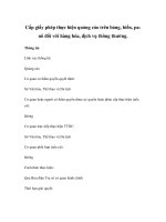 Cấp giấy phép thực hiện quảng cáo trên bảng, biển, panô đối với hàng hóa, dịch vụ thông thường pdf