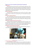 Khuyến cáo của Tổ chức Y tế thế giới về phòng ngừa bệnh tả tại Việt Nam ppt