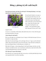 Đông y phòng trị sốt xuất huyết ppt