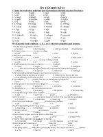 Đề cương Anh-10-HKII