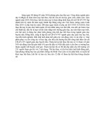 bai phat bieu hoi thao