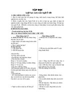 Bài: Luật tục xưa của người Ê đê