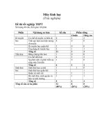 Cấu trúc đề thi TN THPT 2010