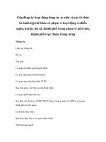 Cấp đăng ký hoạt động dòng tu, tu viện và các tổ chức tu hành tập thể khác có phạm vi hoạt động ở nhiều quận, huyện, thị xã, thành phố trong phạm vi một tỉnh, thành phố trực thuộc trung ương pps