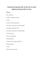 Cấp phép hoạt động giới thiệu việc làm cho các doanh nghiệp hoạt động giới thiệu việc làm ppt