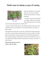 Thuốc nam trị chứng xơ gan cổ trướng pot