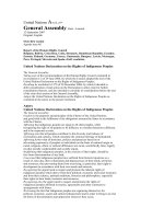 United Nations Declaration on the Rights of Indigenous Peoples pptx