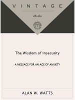 the wisdom of insecurity - alan watts