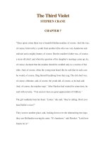 The Third Violet STEPHEN CRANE CHAPTER 7 pot