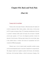 Chapter 016. Back and Neck Pain (Part 14) ppsx