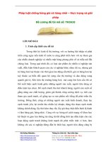 Pháp luật chống hàng giả và hàng nhái – thực trạng và giải pháp Đề cương đề tài mã số: TH3610 pot