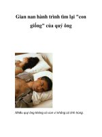 Gian nan hành trình tìm lại 