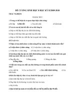 de cuong 8 moi gom ttrac nghiem va tu luan