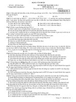 ĐỀ THI THỬ ĐẠI HỌC MỚI NHẤT