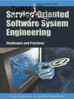 service oriented software system engineering challenges and practices