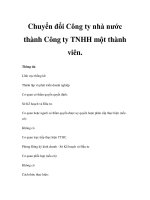 Chuyển đổi Công ty nhà nước thành Công ty TNHH một thành viên docx