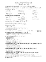 De cuong on tap HKII toan 11