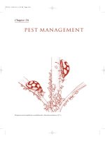 The Insects - Outline of Entomology 3th Edition - Chapter 16 pps